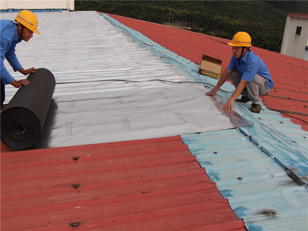 彩钢瓦防水补漏