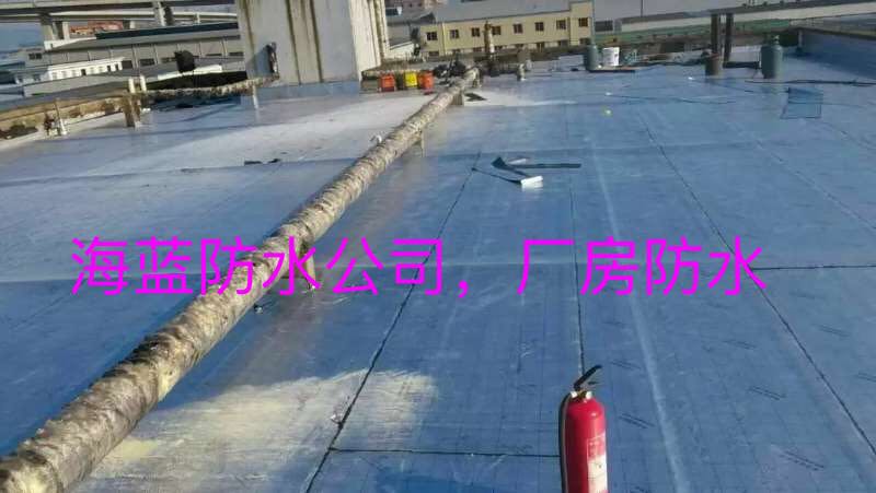 屋面防水